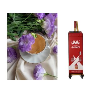 3d 2880 Dpi Automatic Skip Blank Silent Wall Printer Robot