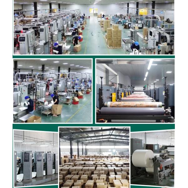 Customized reusable plastic PET white square plastic greenhouse hydroponic plant seed planting box