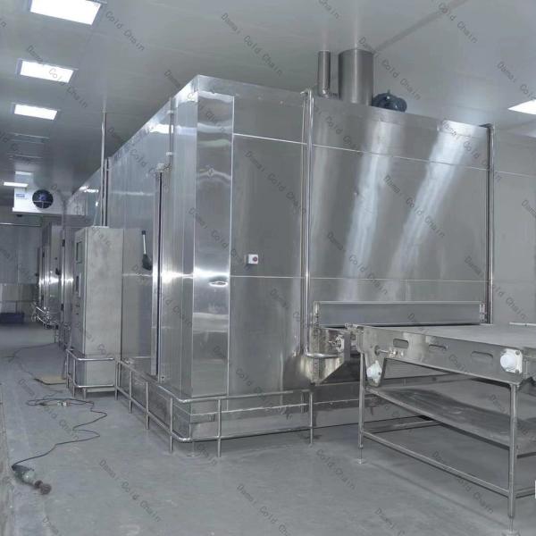 Customized Conveyor Quick Tunnel Freezer 1000kg/H Individual Quick Freezing Machine