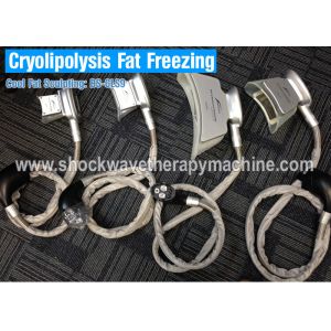 Fat Freeze Cryolipolysis Treatment For Body Slimming