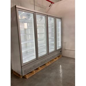 Carel Thermostat Commercial Upright Freezer For Frozen Food