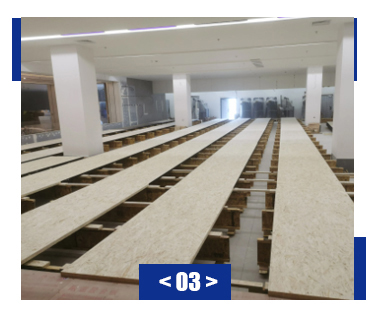 Custom Brunswick Bowling Machine With 24m Fitness Center And Excellent Bowling Ball