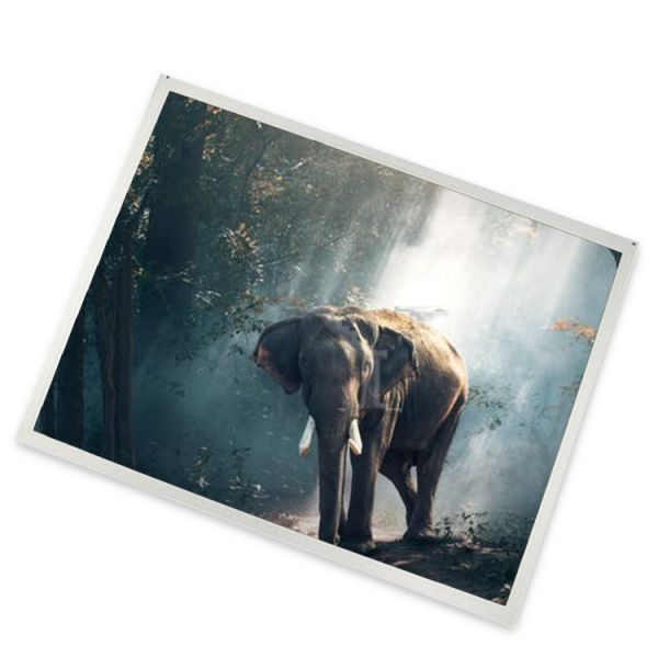 A-Si TFT-LCD 5 Inch 640(RGB)*480 Complete Range of Industrial Screens TX13D200VM