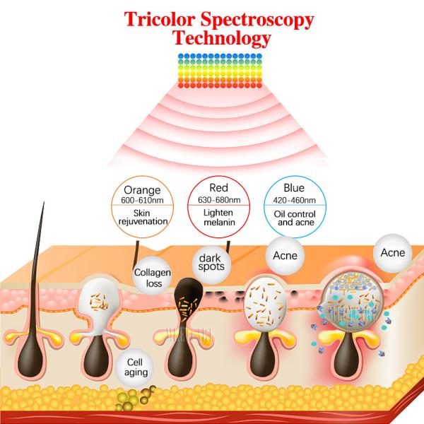 7 Colors Facial LED Mask For Acne Treatment Skin Rejuvenation Wrinkle Removal