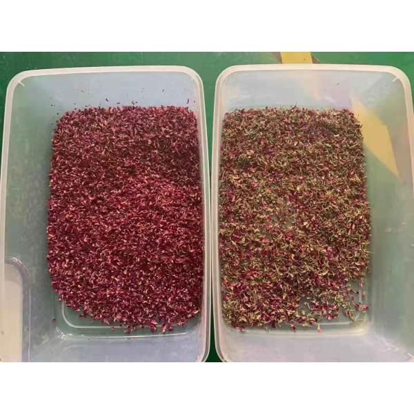 The Latest Bean Color Sorter Machine In China