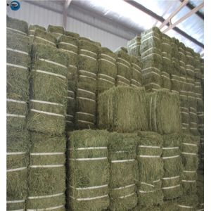 High Quality Packing Polypropylene Baler Plastic Raffia String