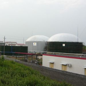 Dung Biogas Plant Project UASB Anaerobic Digestion Power Plant