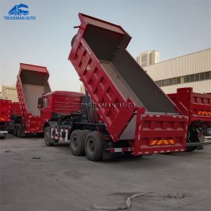 F2000 Shacman 10 Wheeler Dump Truck SHACMAN Tipper Truck
