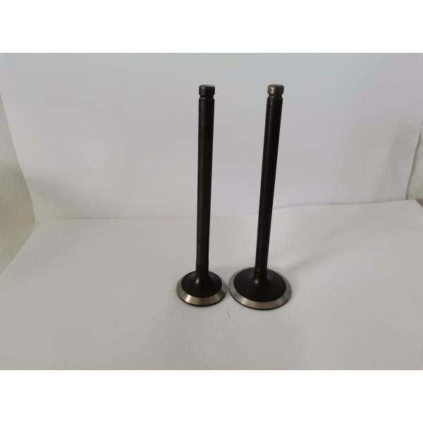 Buy Durable 3242A Diesel Engine Valve for PEUGEOT / CITROEN 1.1L / 1.4L / 1.6L 8V GAS at wholesale prices