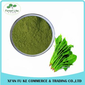 Vagetable P.E. Spinach Powder / BoBcai Powder without Additive