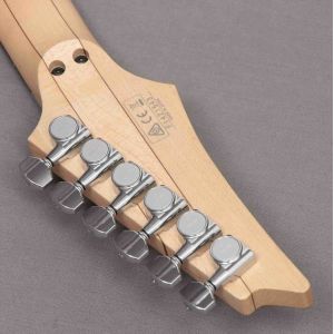 Custom JEM77 Steve Vai Signature Electric Guitar Floral Pattern