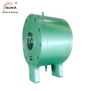 DTIIN1-9 Reducer Freewheel Sprag Backstop Bearing One Way