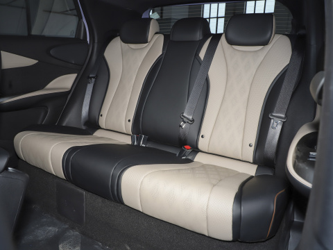 Byd Dolphin 2021 301km Vitality Edition EV Left Steering Fast Charging Time 0.5 Hour