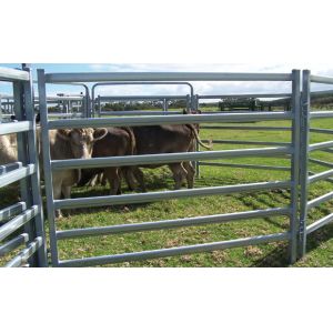 Quality Heavy Duty 30pcs Bundle Heavy Duty Used Cattle Yards For Sale &amp; Gate for Au for sale
