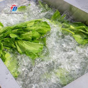Vegetables bubble washing machine Wash Washer Washing Cleaning processing