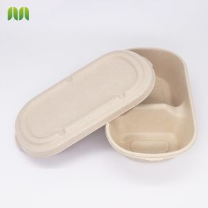 Biodegradable Food Container eco-friendly box with bagass lid