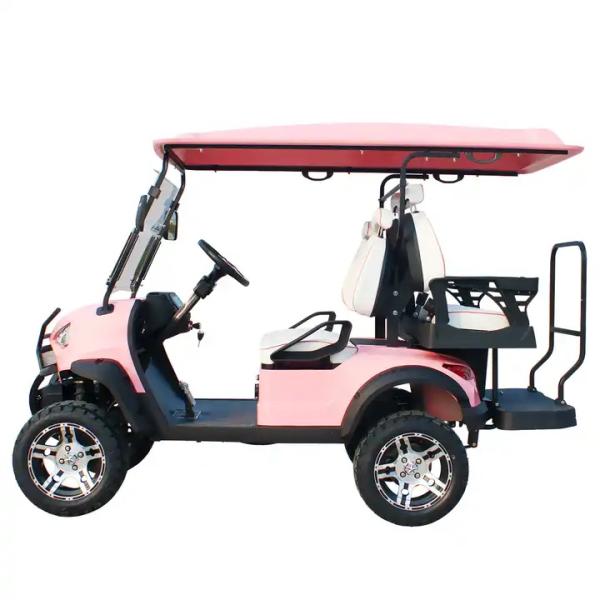 48V Sensor Smart Type Fashionable Modern Golf Cart With Audio System for 6 Passengers