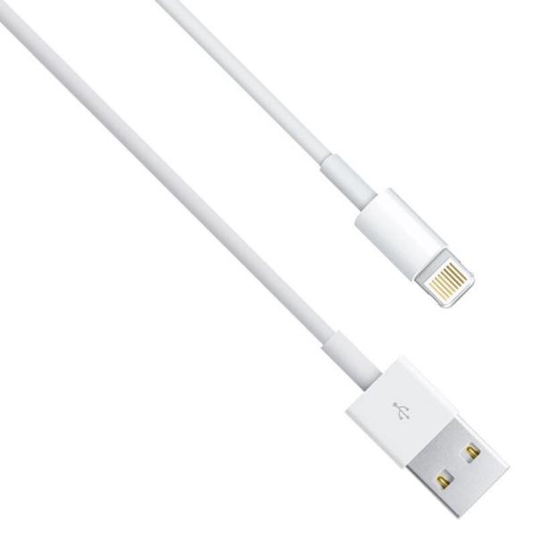 Buy USB Type C Fast Charging Lightning Cable Phone Cable Data Cable OEM 480 Mbps Data Transfer at wholesale prices
