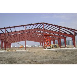 Customizable Welded Steel Structures with Strength and AISI Design Standards