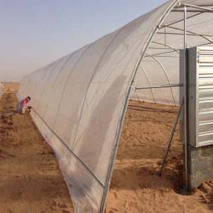 Hot Climate Tomato Plant Greenhouse 150 Micron Plastic Film Cover