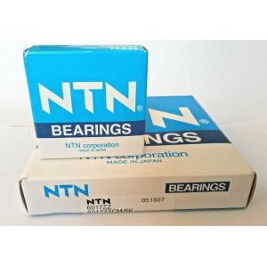 NTN 6017ZZ High Precision Deep Groove Ball Bearing For Pumps With 22 Mm Width