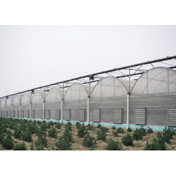 Multipurpose Plastic Cover Greenhouse For Vegetable Tomato Strawberry Pepper