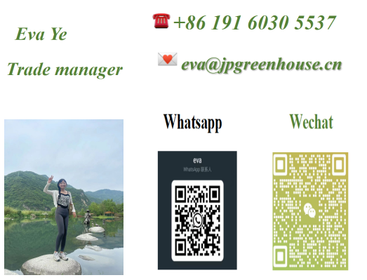 8*30m Greenhouse With Blackout System For Herbal Planting