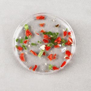 Lab Suspension 60 X 15 Mm Petri Dish Cell Culture TC Treated Non Treated Petri