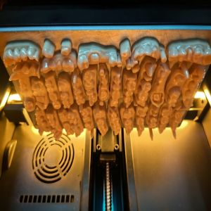 Digital Applications Light-Curing 3D Printed Dental Model Opposite Jaw