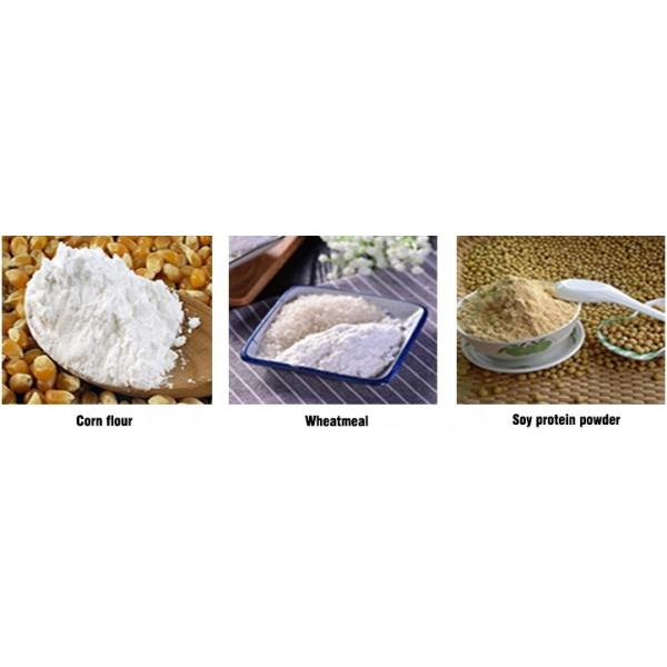 Single Phase 220V 500kg/H Dry Cat Dog Food Extruder Line