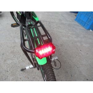 Bike light / FlashLight Consumer Electronics Inspection English Report language