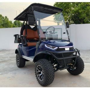 Equipped with Electromagnetic Parking System Private Mold Electric Lifted Golf