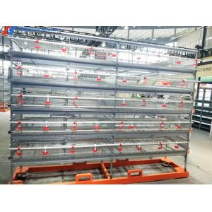 Chicken Raising Equipment Galvanized Steel H Type Poultry Cage Equipment For
