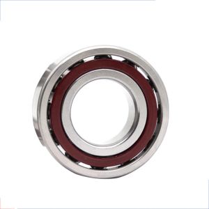 60bar10styndblp4a; 60bar10htyndblp4a Angular Contact Ball Bearings Pump &