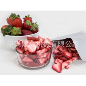 1000kg Freeze Drying Machine