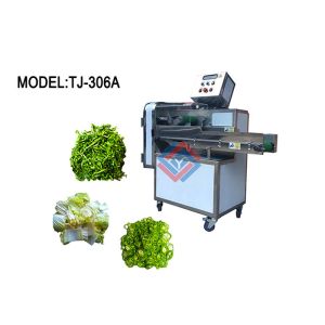 Commercial Fruit Vegetable Washer Machine , Vegetables Processing Line