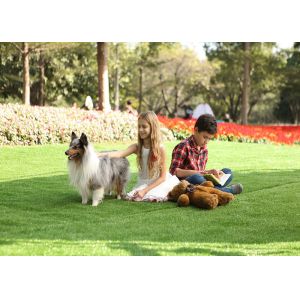 180 s/m Stitch Landscaping Fake Grass Carpet Outdoor SGS Labsport Certification