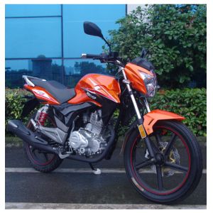 Outstanding and Powerful 200cc 250cc motorcycles