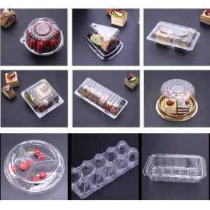 Hot Selling Plastic PET Sandwich Containers Cake Bread Container Plastic