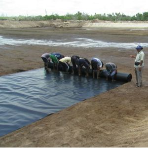 Double Smooth Surface 60 Mil Food Grade EPDM Rubber Pond Pool Sheet Liner