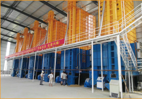 Buy Indirect Heating 10000kg Rice Paddy Dryer Machine  Low Temperature Circulating at wholesale prices