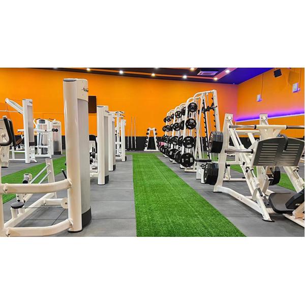 Steel Free Weight Equipment Lifting Gym Dumbbell 5/7.5/10/12.5/15/17.5/20/22.5/25kg