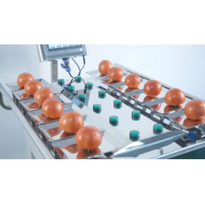 250g 500g 1000g Manual Packaging Machine Vegetables Fruits Weighing