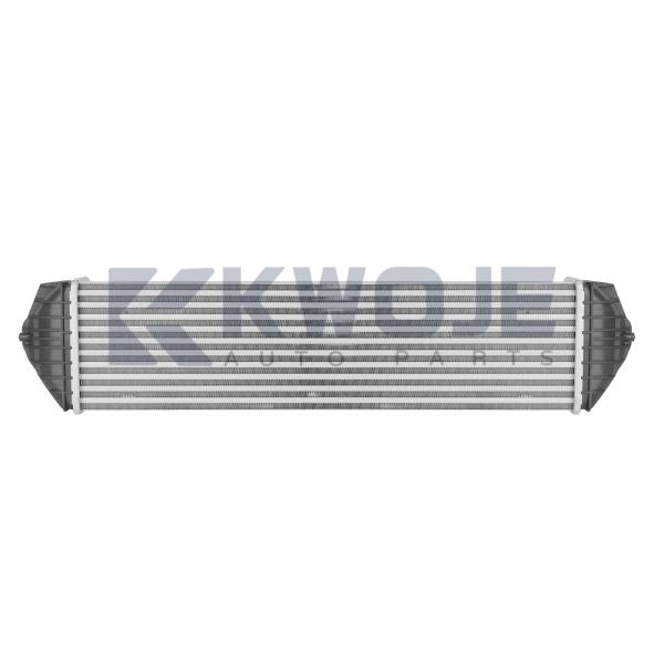 Automotive Cooling Systerm Intercooler Tank Auto Evaporator Cooler F20-1119120