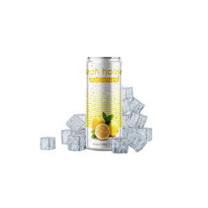 300ml Orange Flavor Tech Horse Canning Cocktails OEM Private Label Sevice 4.5% ABV