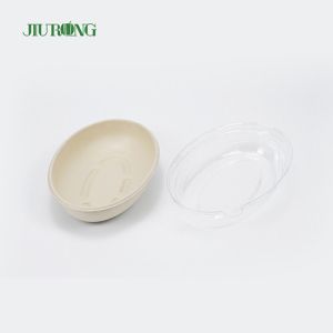 Eco Friendly Disposable Sugarcane Bagasse Food Container Biodegradable