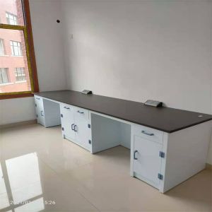 Modern Design Customizable Laboratory Workbenches in Standard Export Carton