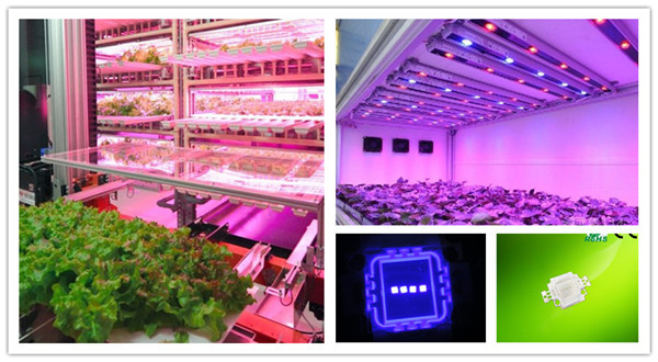 China Factory High Power LED Diode 5w Blue 450nm 455nm 460nm 470nm