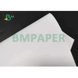 270gsm 350gsm FBB Board For Frozen Food Package 28 x 44 inches High Glossy