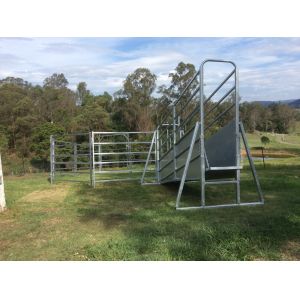 Australia standard galvanized cattle panel fence Cattle Crush,Cattle Chute